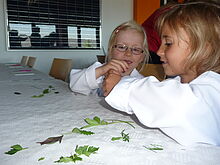 Zwei Mädchen in weißen Kitteln untersuchen grüne Laubblätter zum Tag der kleinen Forscher in Chemnitz