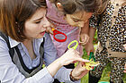 Eine Frau untersucht gemeinsam mit Kindern ein Laubblatt unter der Lupe.
