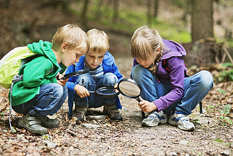 Drei Kinder untersuchen mit Lupen den Waldboden