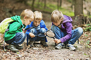Drei Kinder untersuchen mit Lupen den Waldboden